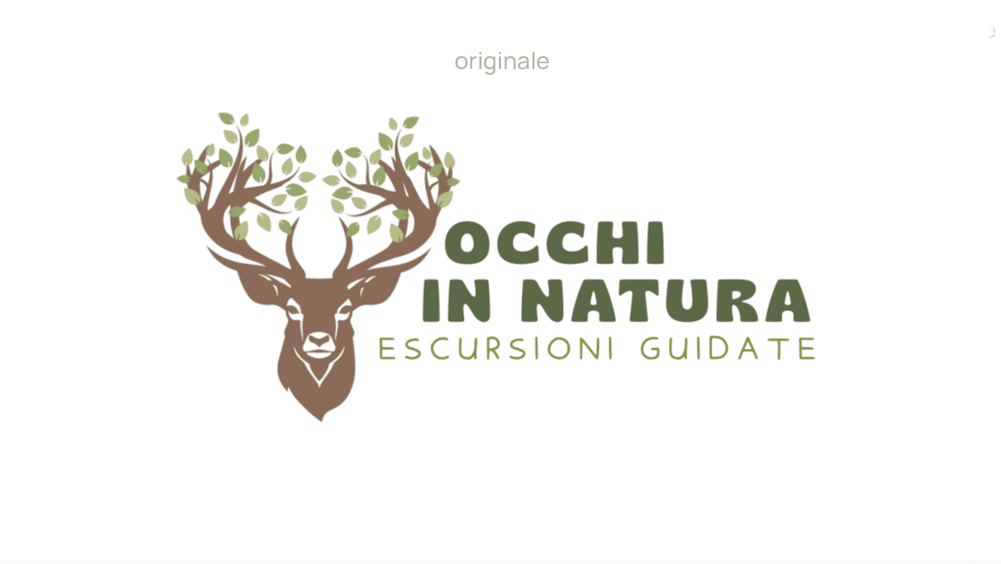 1 francy Logo originale di Occhi in Natura, escursioni guidate