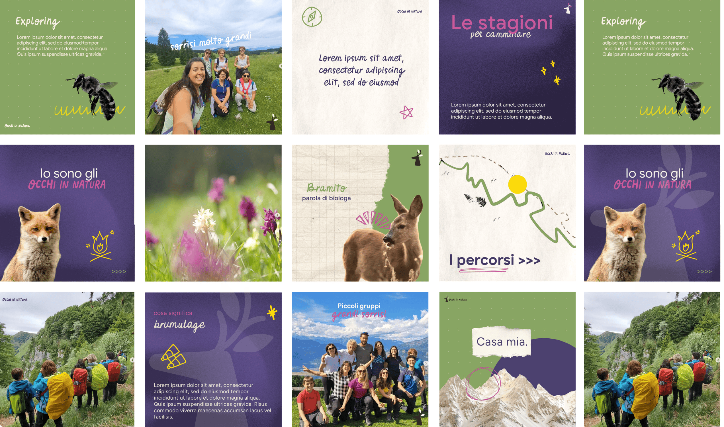 4 - francy Feed Instagram di Occhi in Natura con i nuovi colori del brand